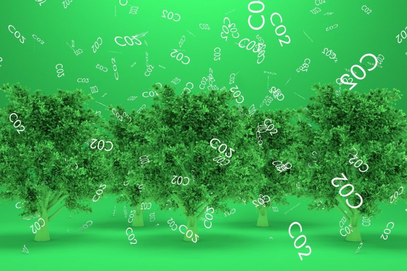 Decarbonization - Trees CO2