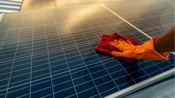 Solar panel cleaning and repair: what you need to know