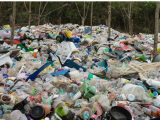 Waste to hydrogen - Plastic waste - environment