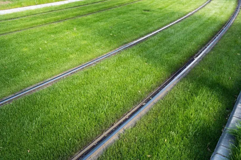 Hydrogen train - Rail Tracks on Grass