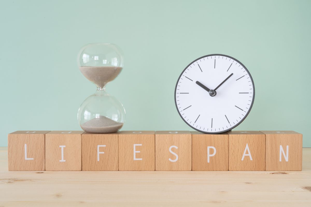 Altered PH Greatly Increases Solid Oxide Fuel Cell Lifespan, Say MIT