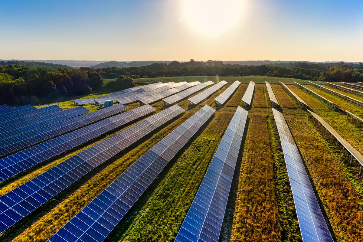Two more communityscale solar energy projects added to Renewable