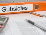 Fuel cell vehicles - Subsidies binder