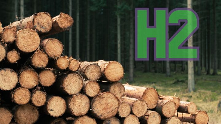 Hydrogen fuel production offers cleaner sawmill residue uses