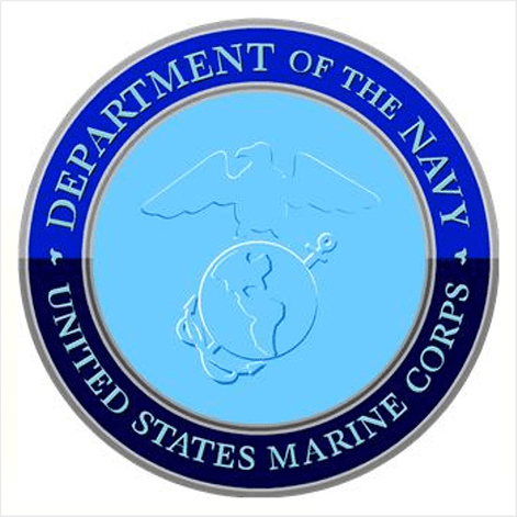 Department of the Navy symbol featuring an eagle