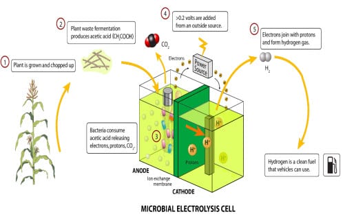 Microbial fuel cells could solve the shortage of drinking water in developing countries