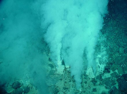 hydrothermal vents