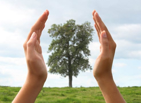 Artificial leaf could unlock the future of alternative energy