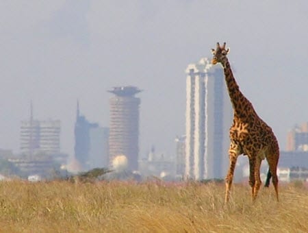 Kenya - Solar Energy