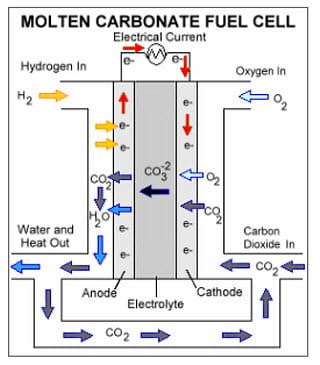 Molten carbonate fuel cells