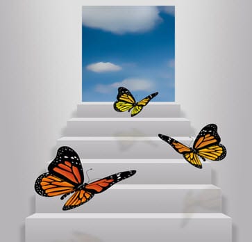 Butterfly wings may hold the key to hydrogen fuel cell efficiency Butterfly wings may hold the key to hydrogen fuel cell efficiency