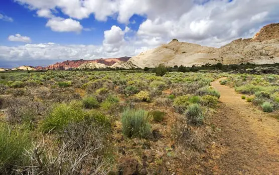 Federal government begins to examine the alternative energy potential of contaminated land