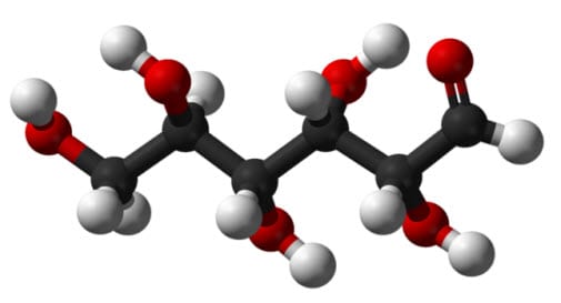 Glucose Chain Model