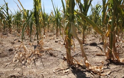 Wind Energy help drought