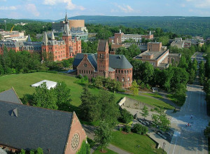 Cornell University - Research in fuel cells