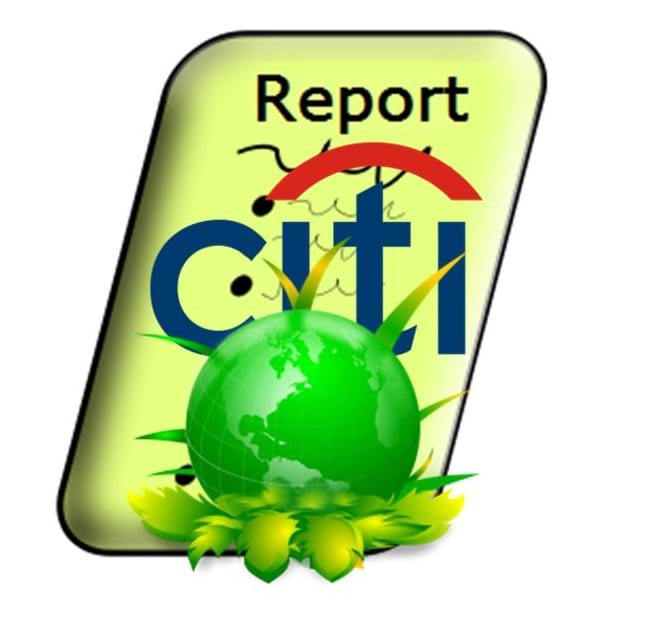 Citigroup Renewable Energy Report