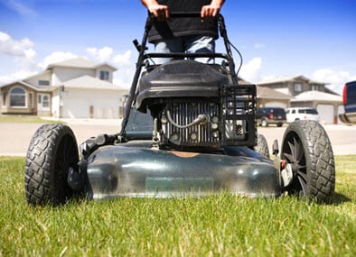 grass tips and eco friendly lawns