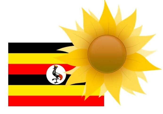 Solar Energy - Uganda