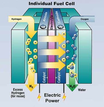 Fuel Cell