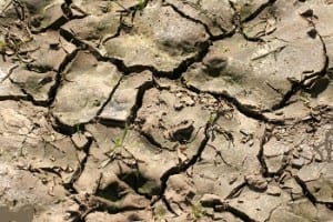Climate Change - Drought