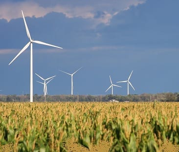 Wind Energy Market - Turbines in Field