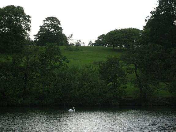 Geothermal Energy - a green park