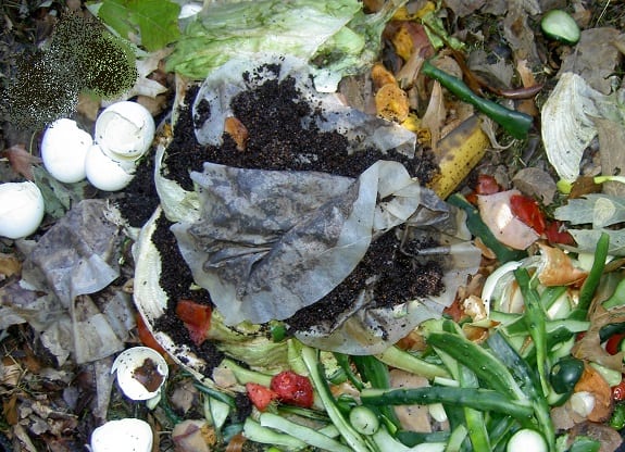 fuel cells - organic waste