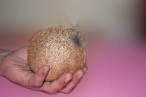 Hydrogen Fuel - Coconut