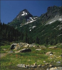 Geothermal Energy - Mount Baker Snoqualmie National Forest