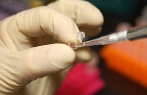 Biofuels Research - Image of researcher with test tube