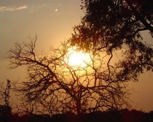 Solar Energy - South Africa