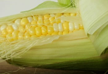 Corn - Hydrogen Fuel