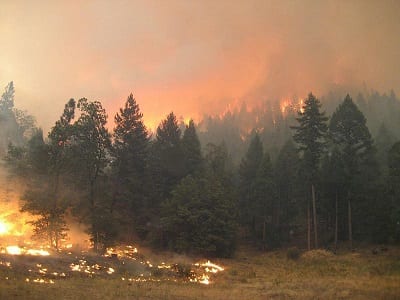 Climate Change - Forest Fire