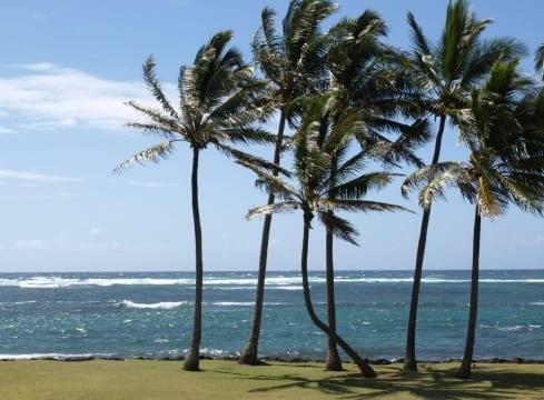 Renewable Energy Support - Hawaii