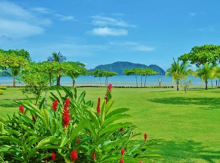 Renewable Energy - Costa Rica Beach