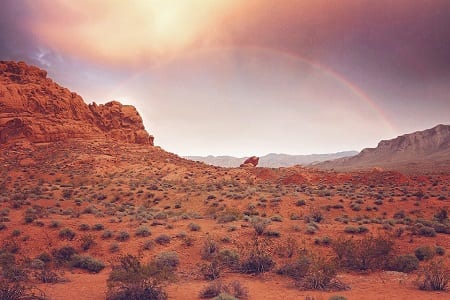 Nevada Solar Energy Market - Desert