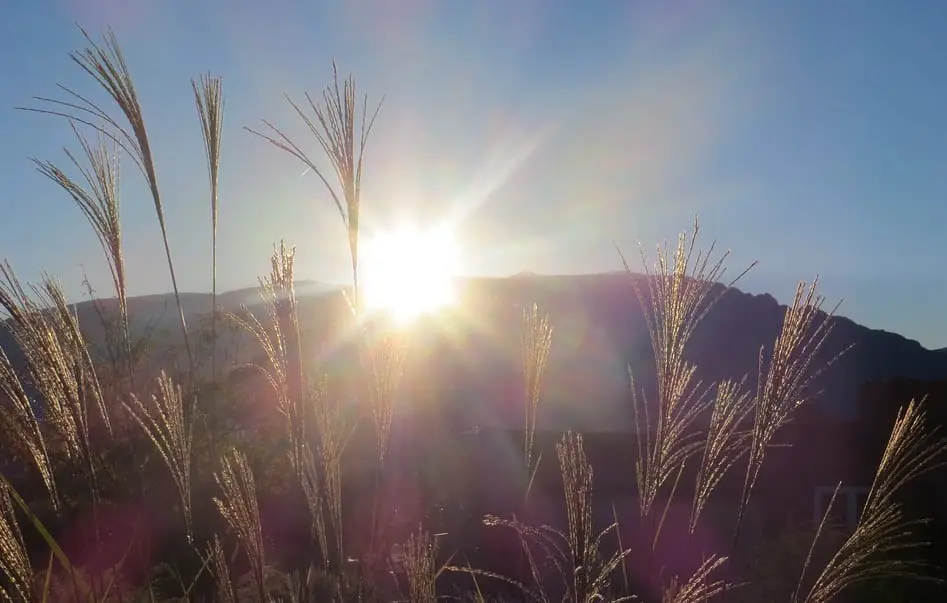 Solar Energy - Albuquerque