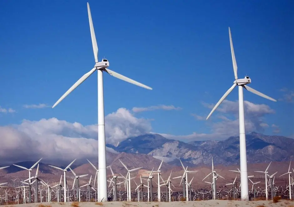 Federal court puts an end to large-scale wind energy project in Oregon