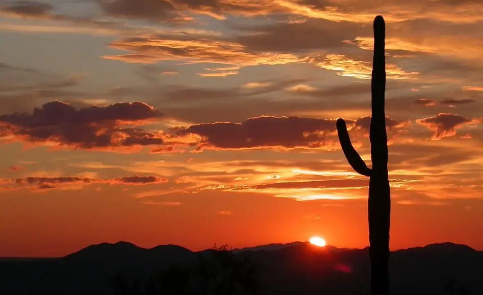 Tucson Electric Power to purchase solar energy at a record low price