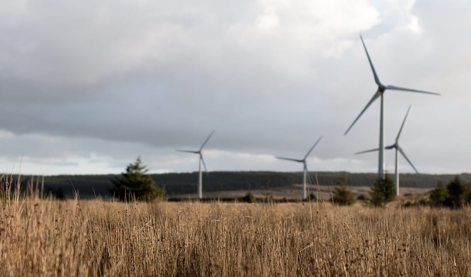 Wind Energy Projects - Wind Turbines in Field