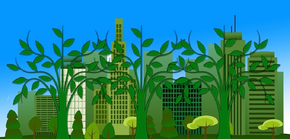 Renewable Energy - Forest City