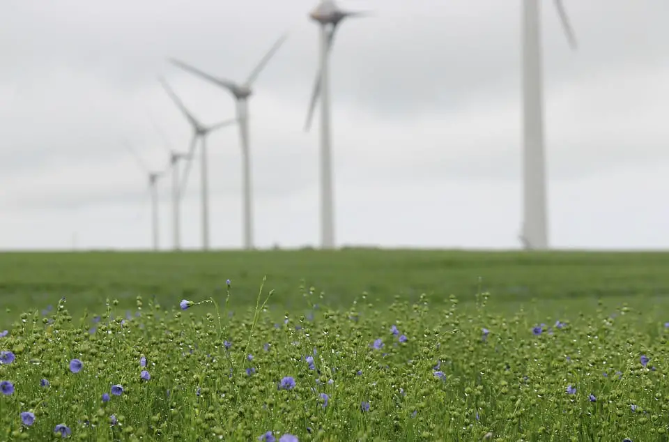 Wind energy may supply 30% of Europe’s electricity by 2030