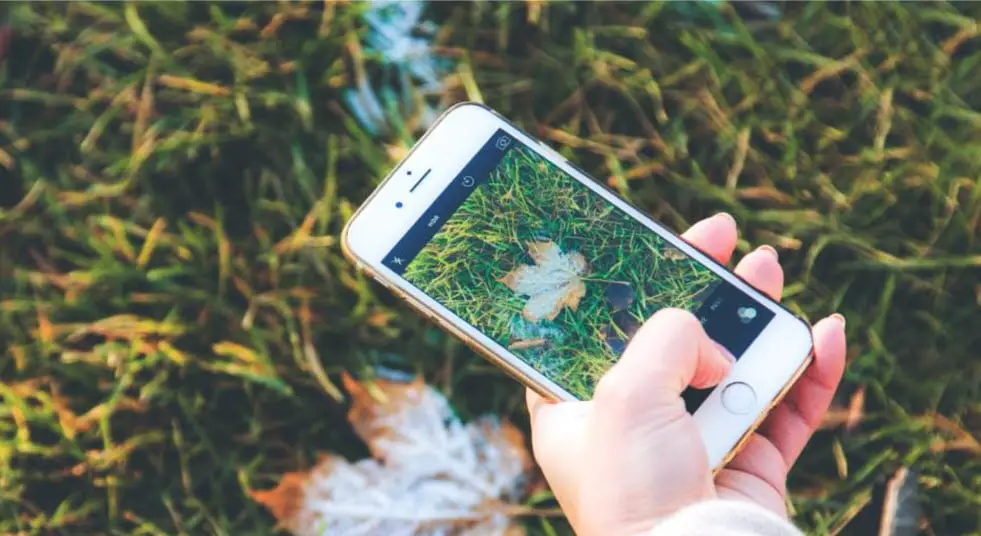 Are Green Mobile Phone Providers The Future? Are Green Mobile Phone Providers The Future?