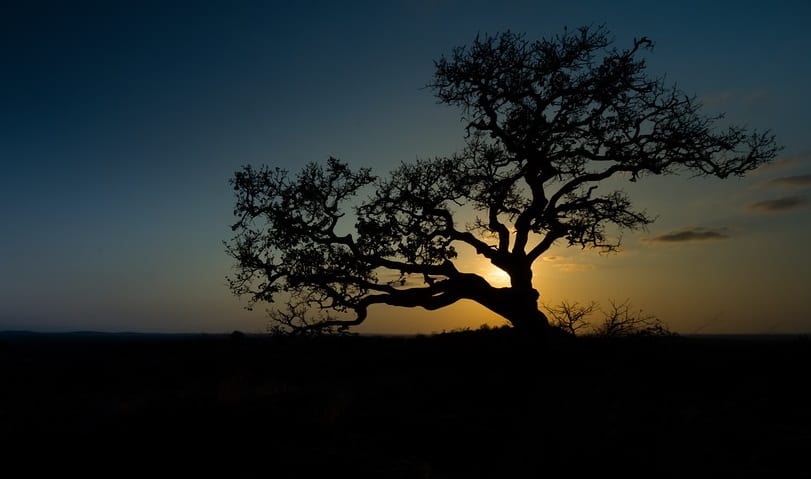 Africa Renewable Energy Future - Sunset