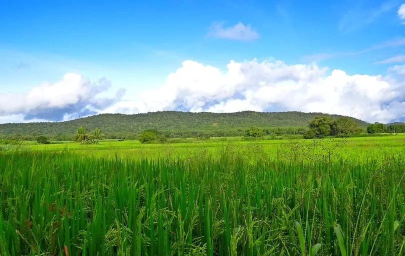 India launches new renewable energy initiative