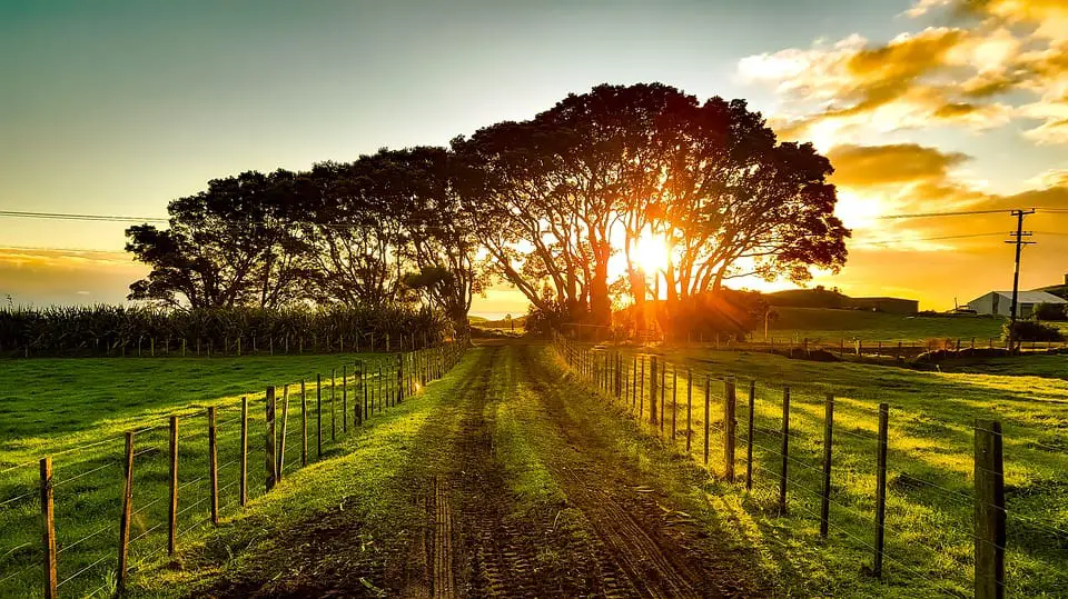 New Zealand Landscape- Renewable Energy