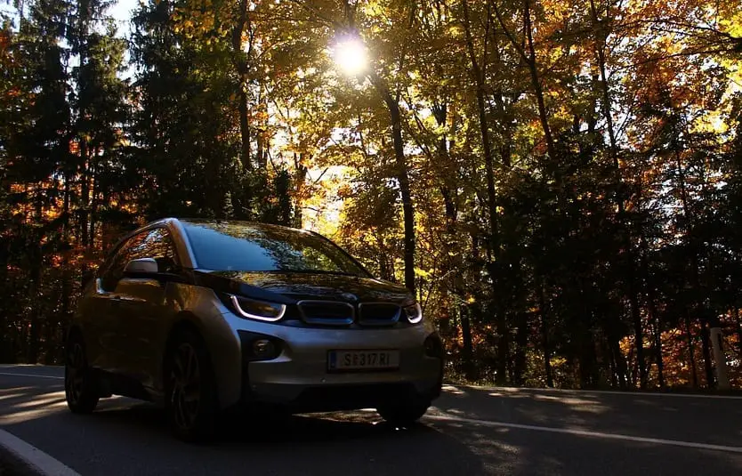 Clean Vehicles - Car driving by trees and sunshine