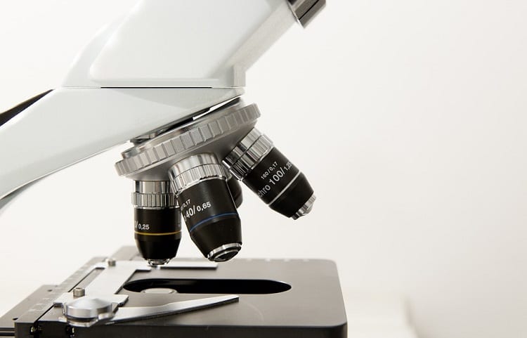 Researchers develop innovative direct carbon fuel cell Researchers develop innovative direct carbon fuel cell