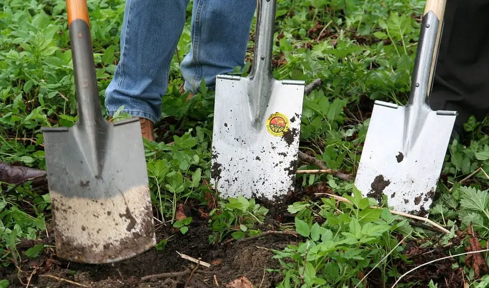 Hydrogen Fuel - Breaking Ground on New Project - Gradening