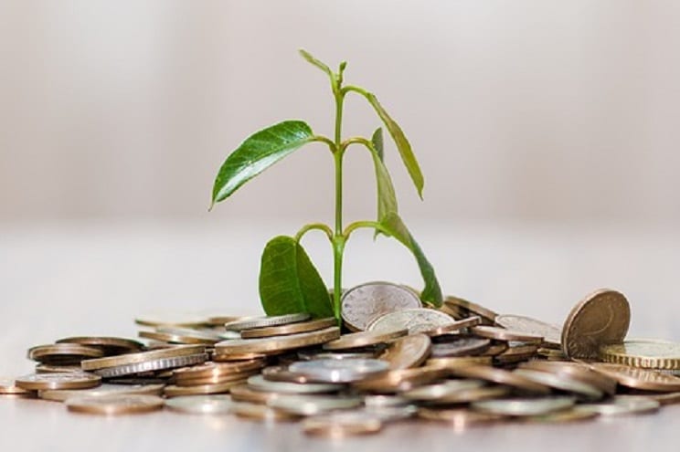 Green Investments - Plan and coins